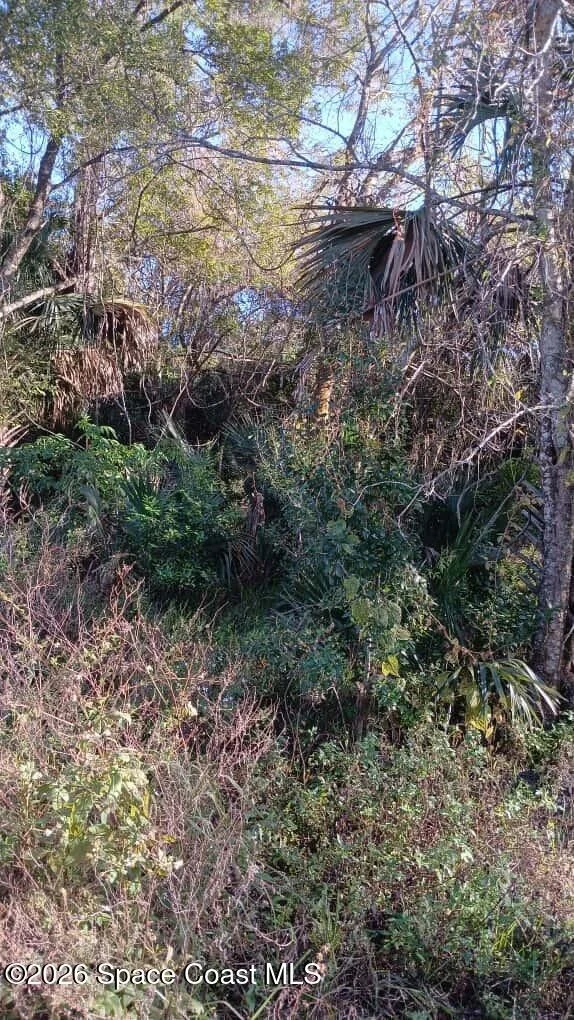 Photo of 0 Avenue O