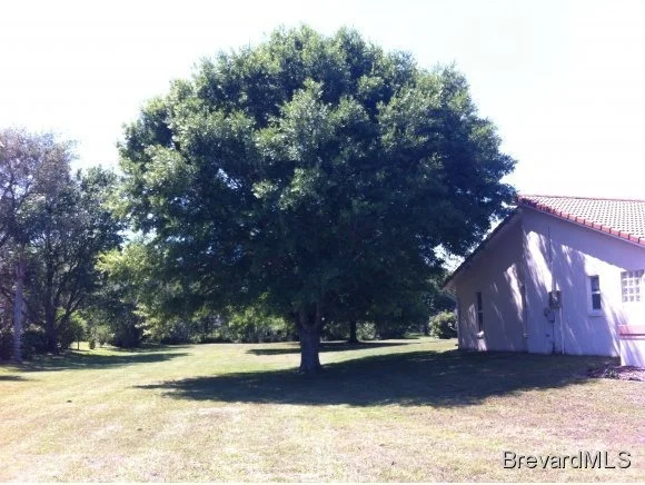 Photo of 4266 Turtle Mound