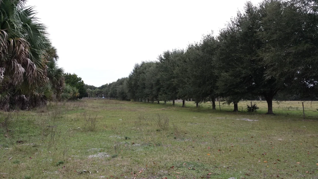 Photo of 6767 Laurel Oak Avenue
