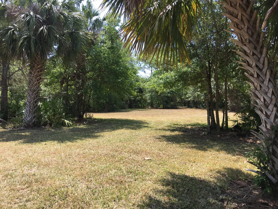 Photo of 1839 Sabal Palm Drive