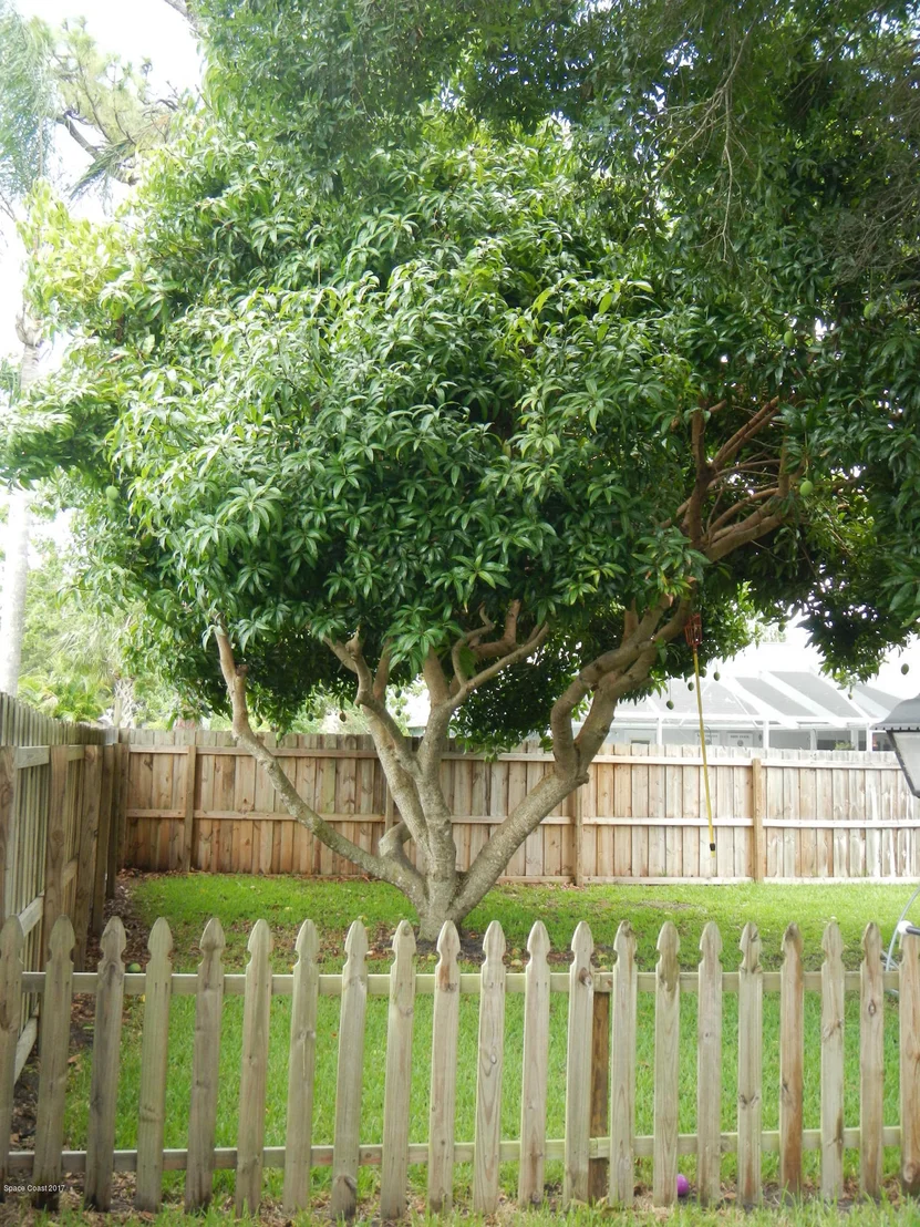 Photo of 3658 Whisperwood Circle
