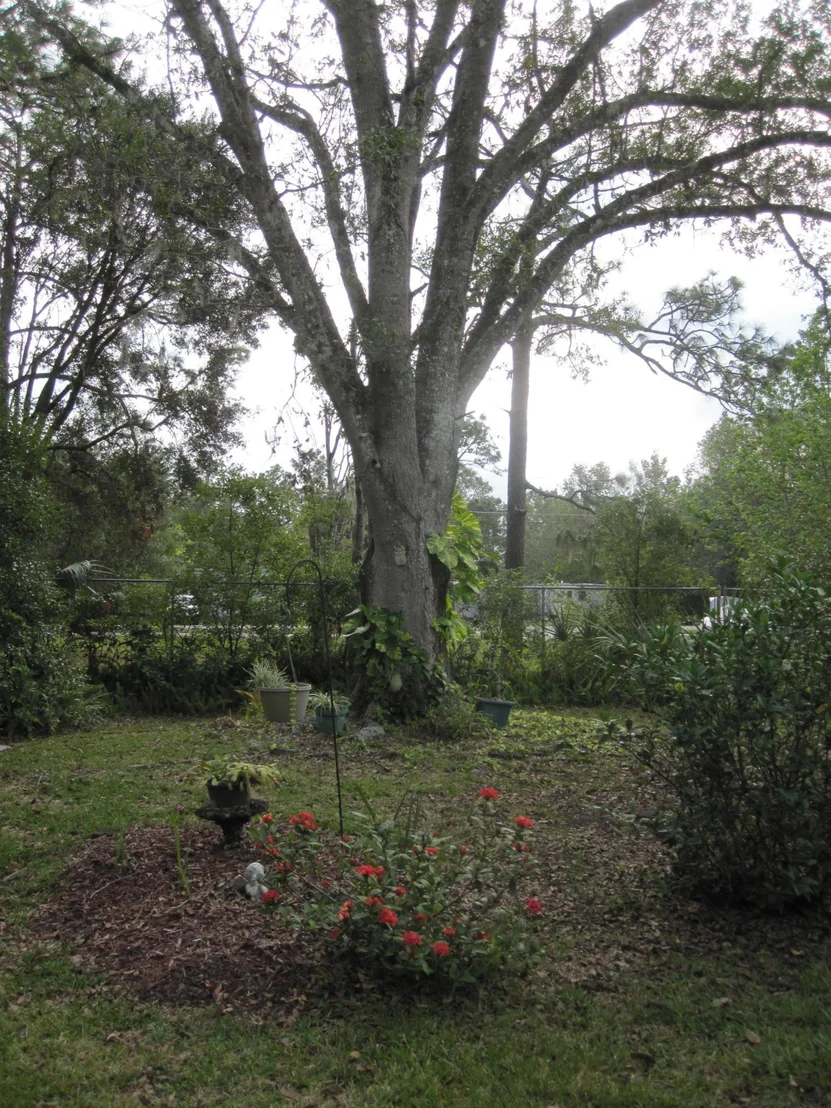 Photo of 17635 Caudel Road