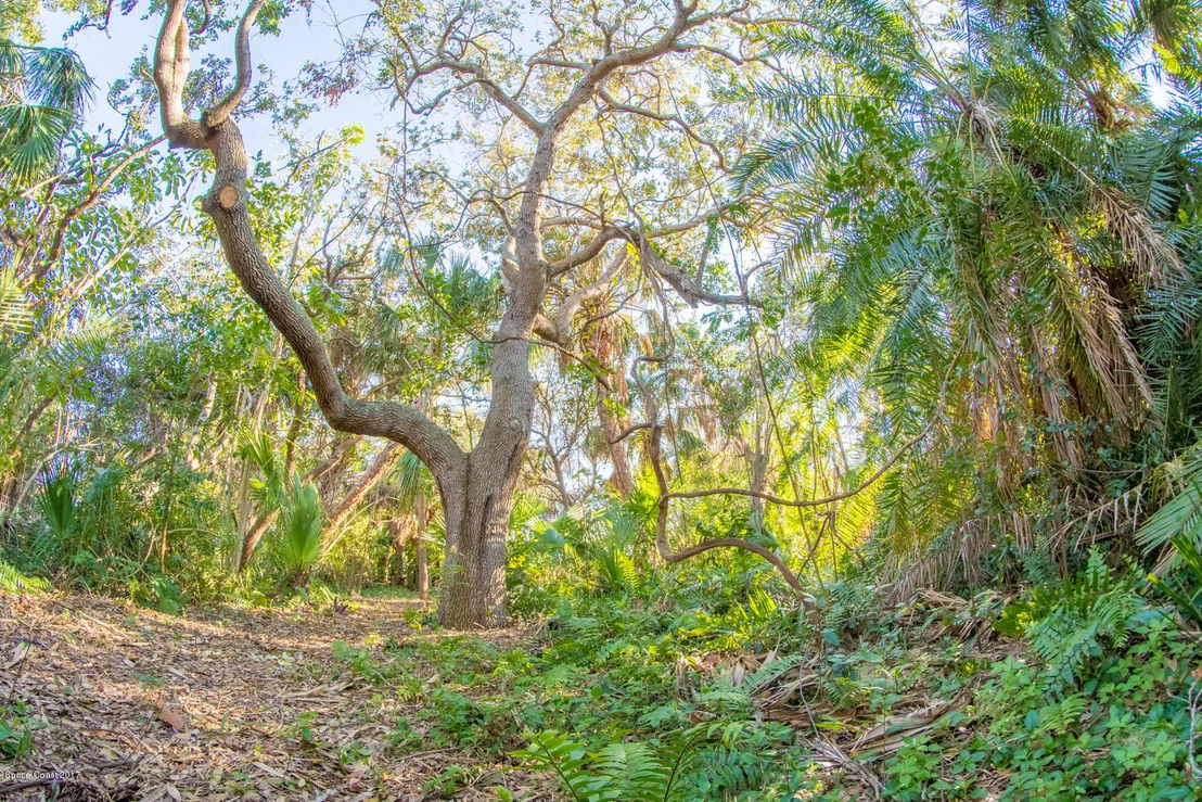 Photo of 403 Poinsettia Road