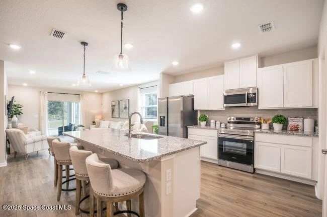 Photo of 1407 Needle Palm Drive