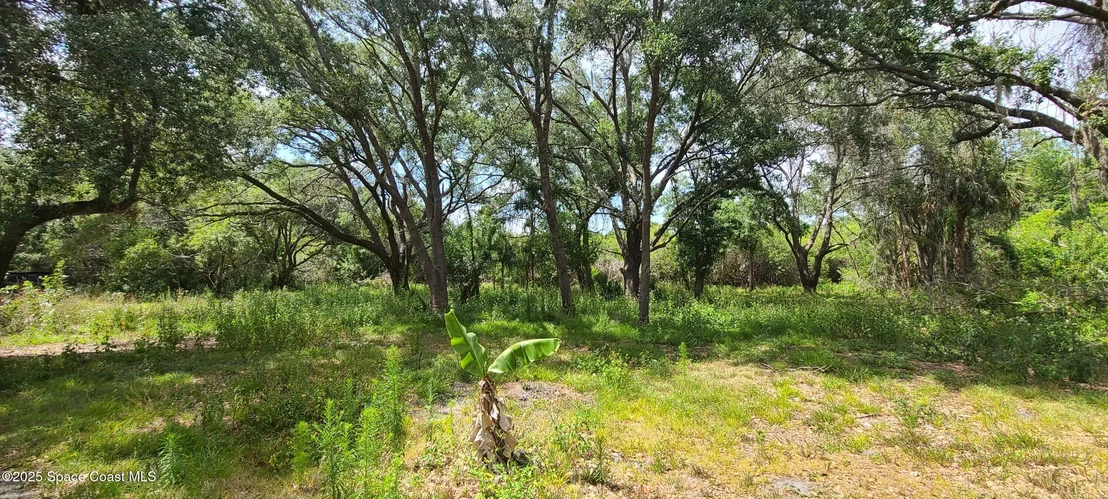Photo of 920 Malabar Road