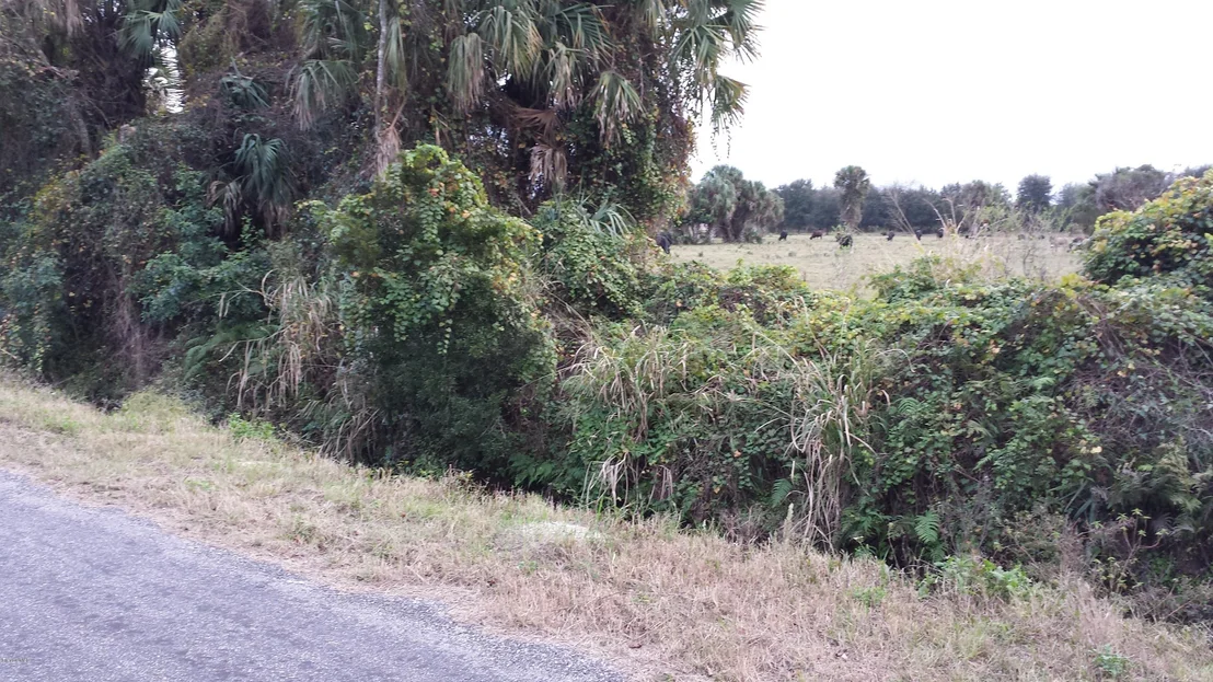 Photo of 6767 Laurel Oak Avenue
