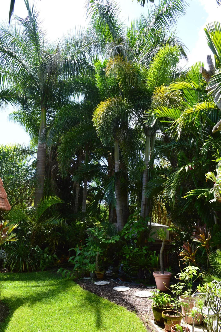 Photo of 214 Rose Drive