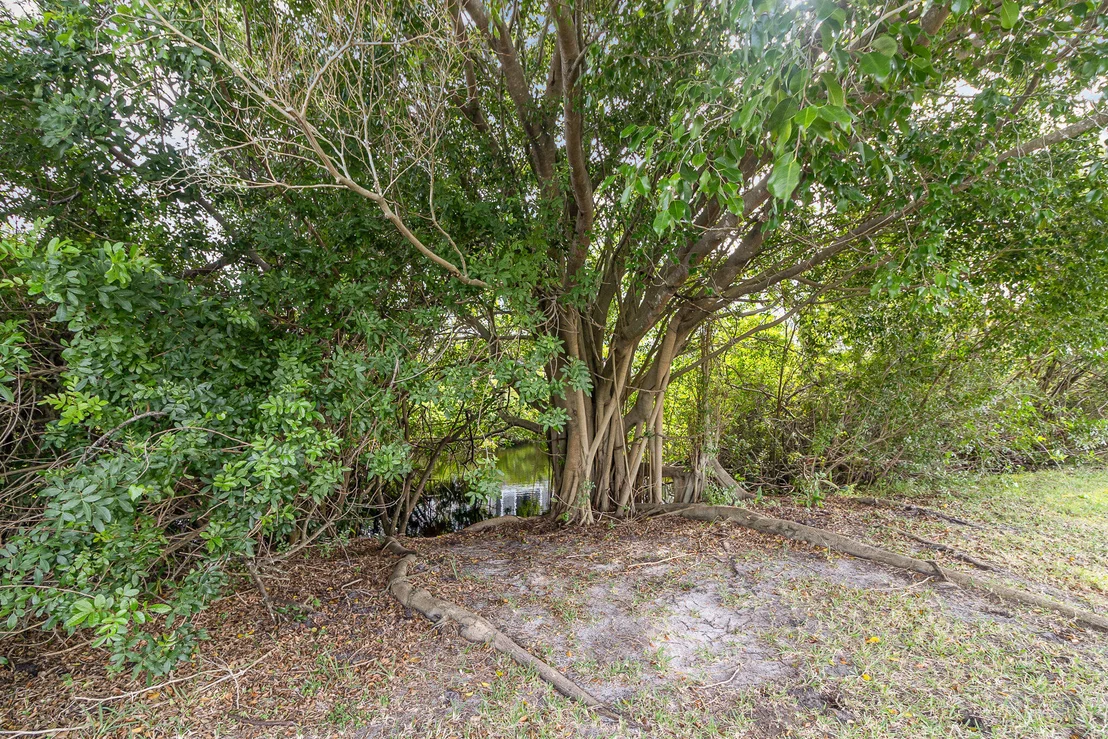 Photo of 137 Cinnamon Lake Circle