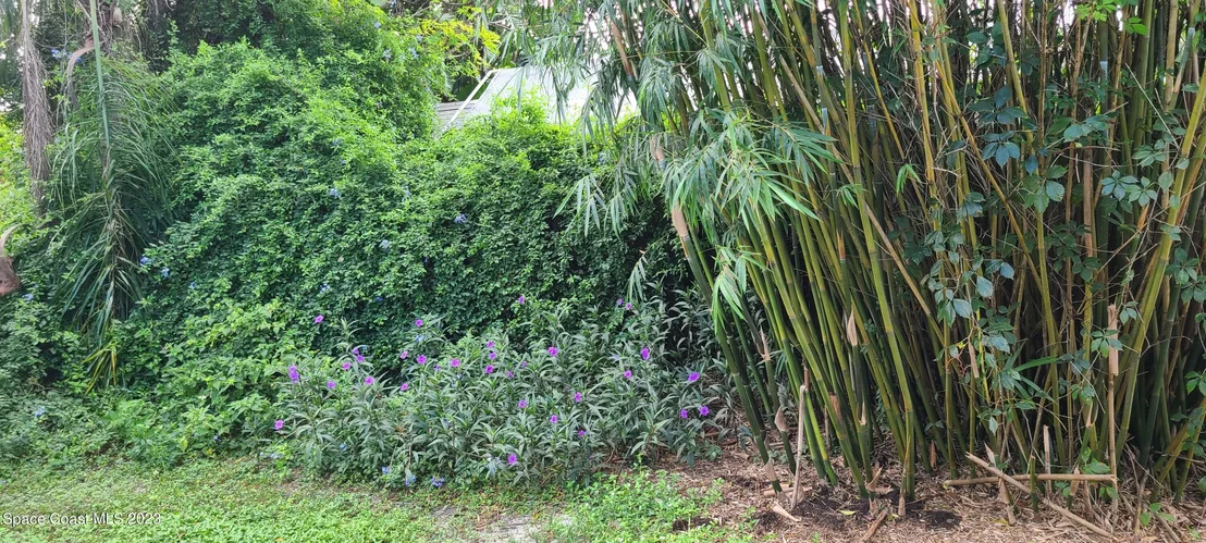 Photo of 6557 Pleasant Avenue