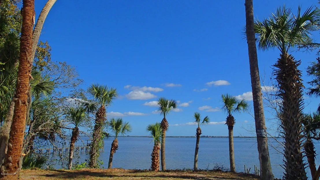 Photo of 3837 N Indian River Drive