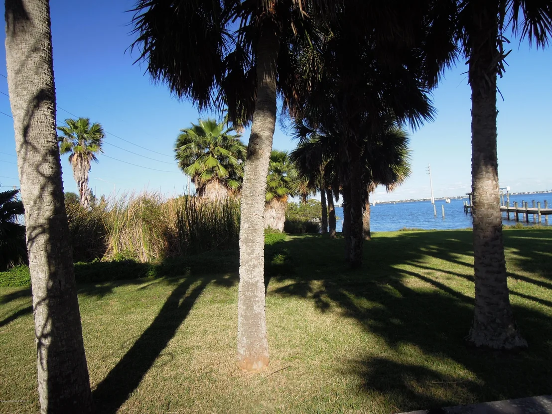 Photo of 1411 Pineapple Avenue
