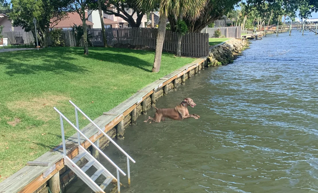 Photo of 242 River Walk Drive