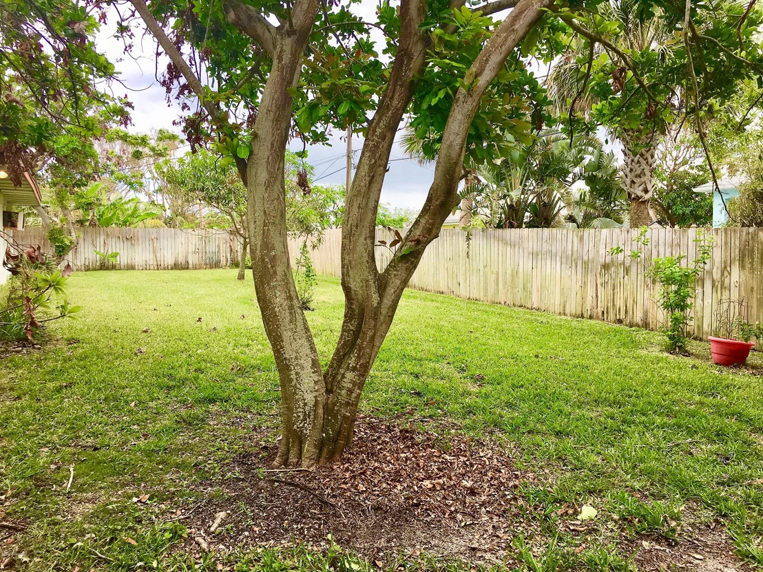 Photo of 143 Cocoa Avenue