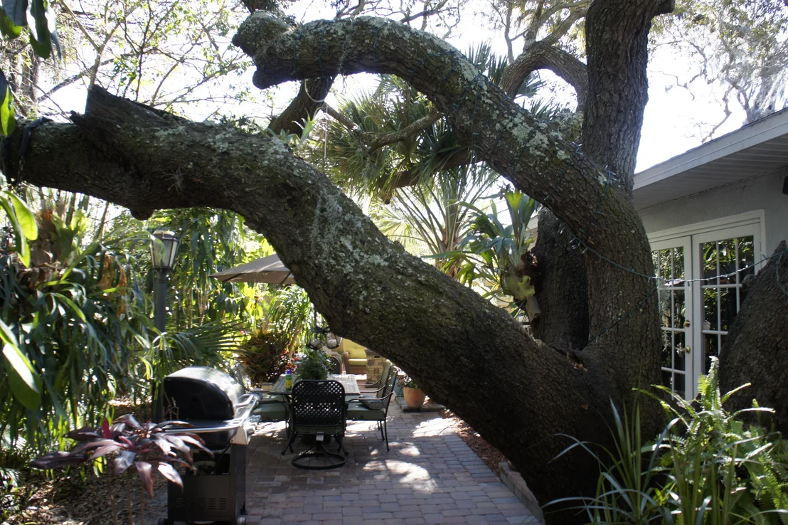Photo of 555 Old Oak Street
