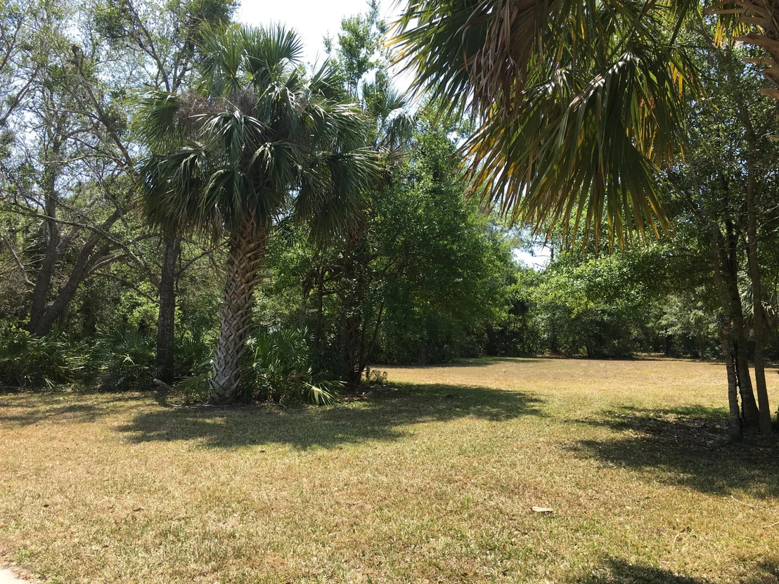 Photo of 1839 Sabal Palm Drive