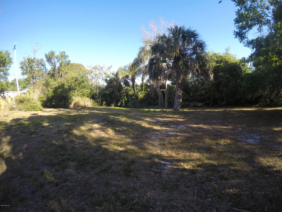 Photo of 1058 Tortoise