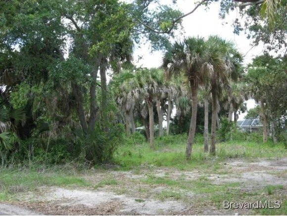 Photo of 524 Sunset Boulevard