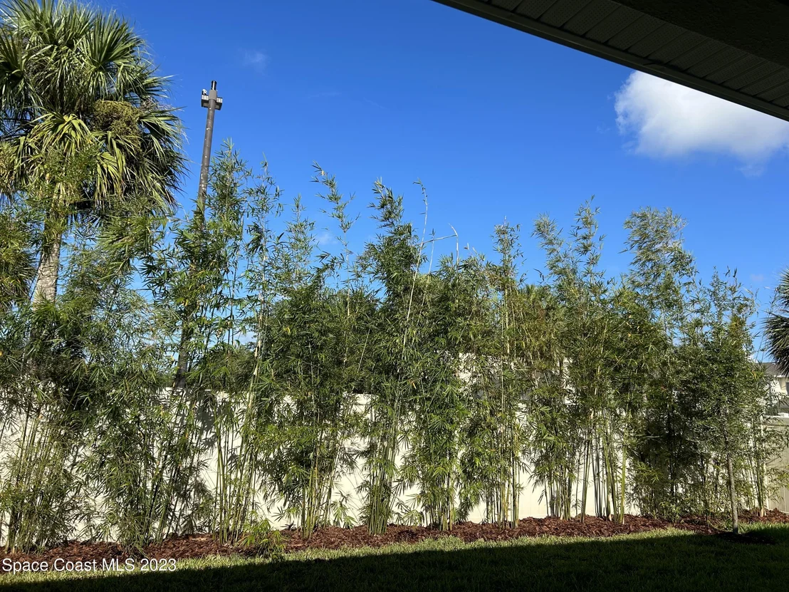 Photo of 4095 Negal Circle