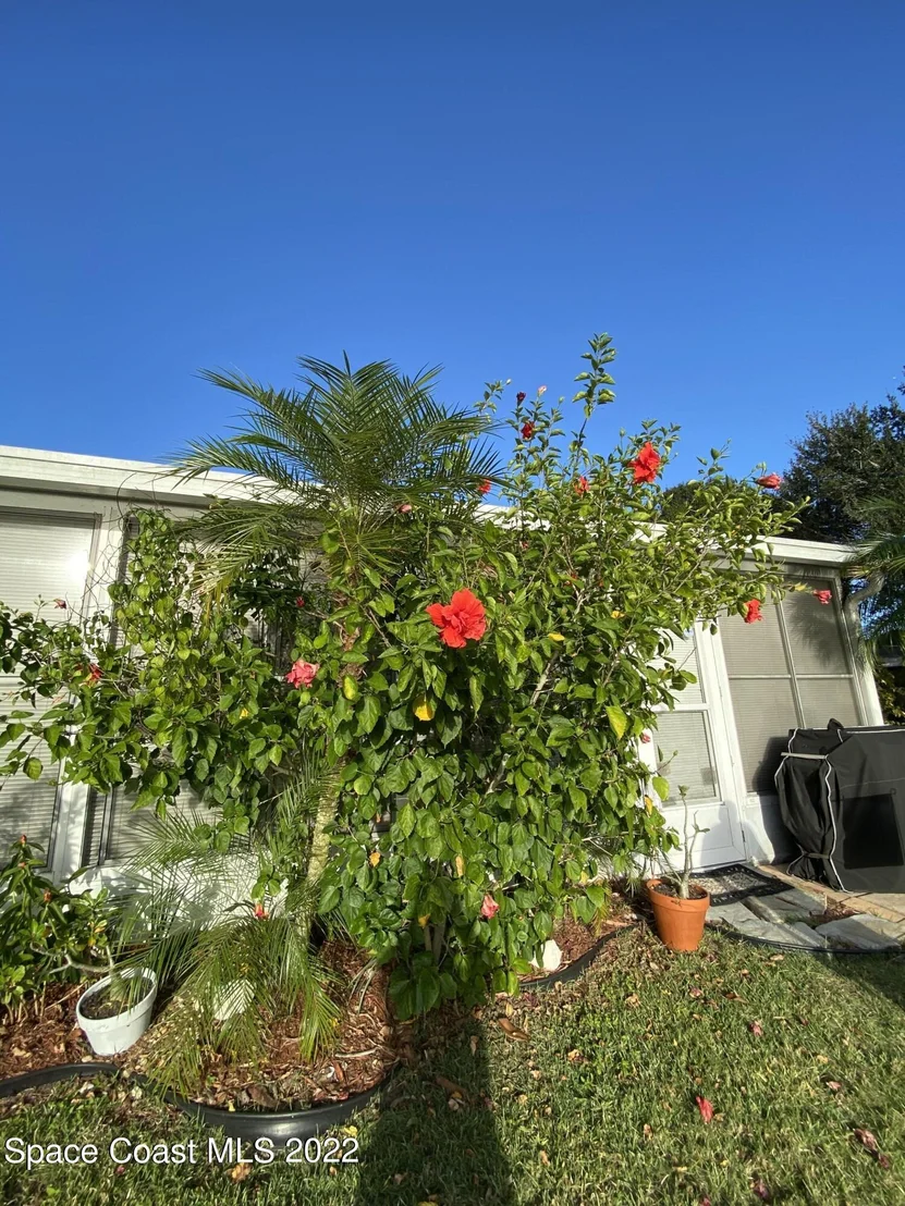 Photo of 2467 Misty Way Lane