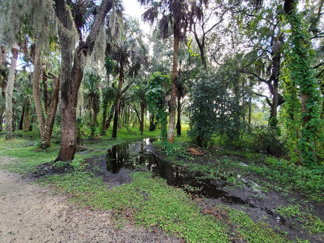 Photo of 1016 Gray Road