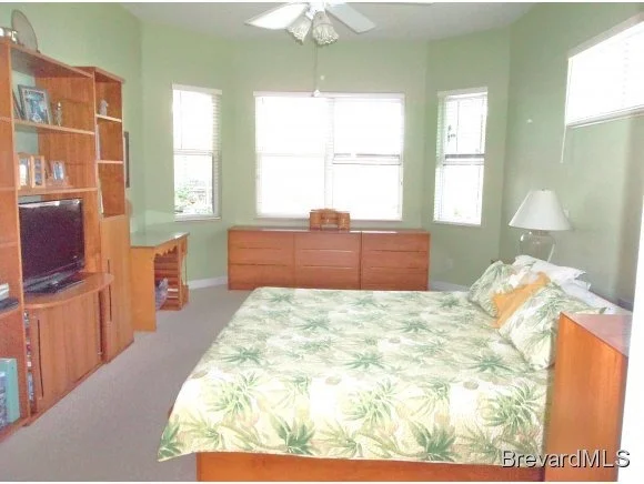 Photo of 4349 Davidia