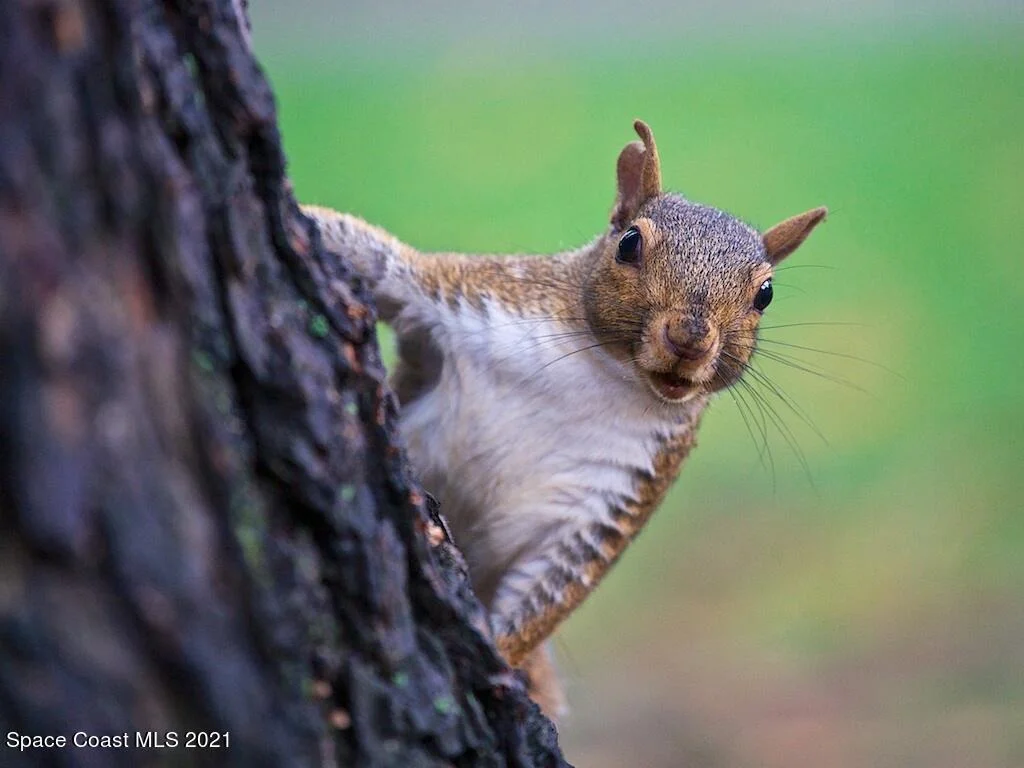 Photo of 3244 Hawthorne Avenue
