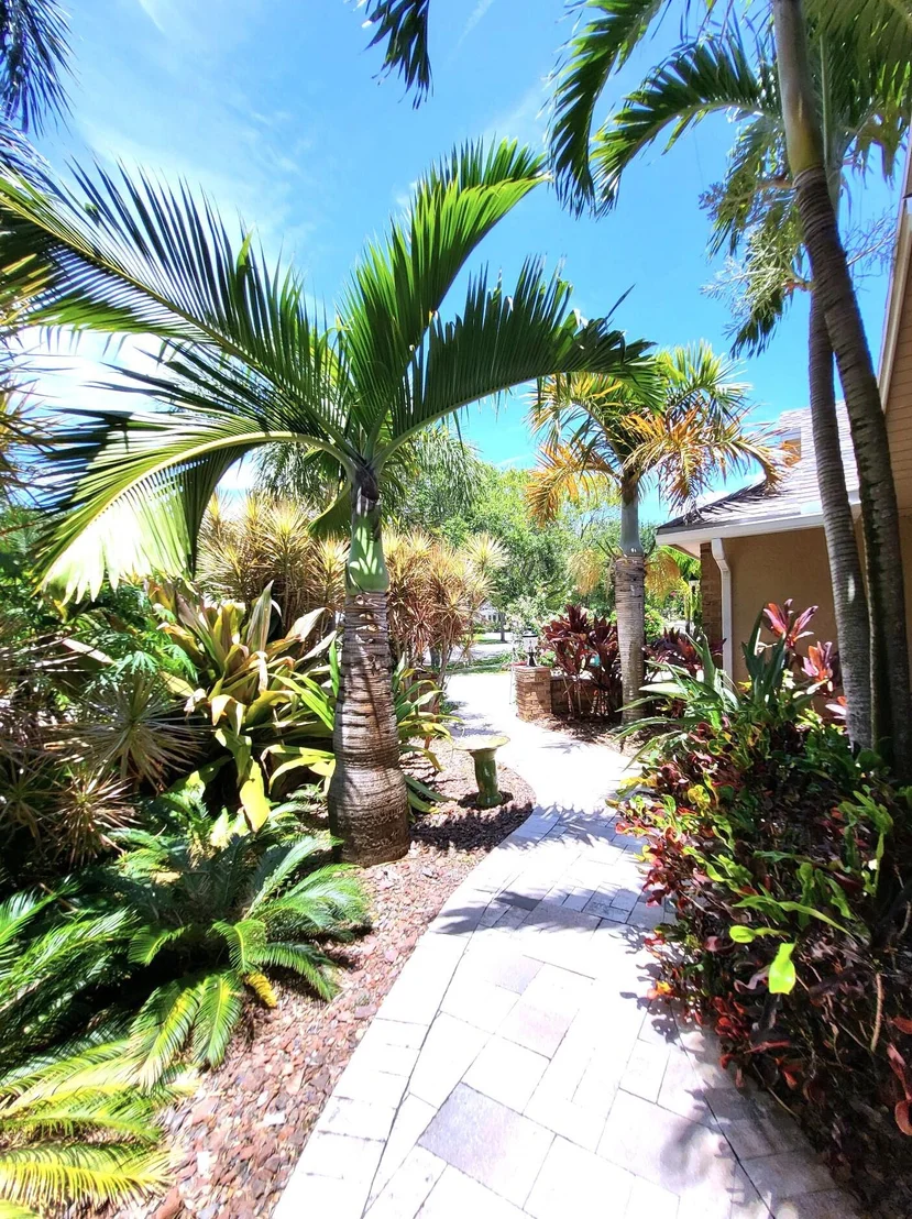 Photo of 451 Mallard Lane