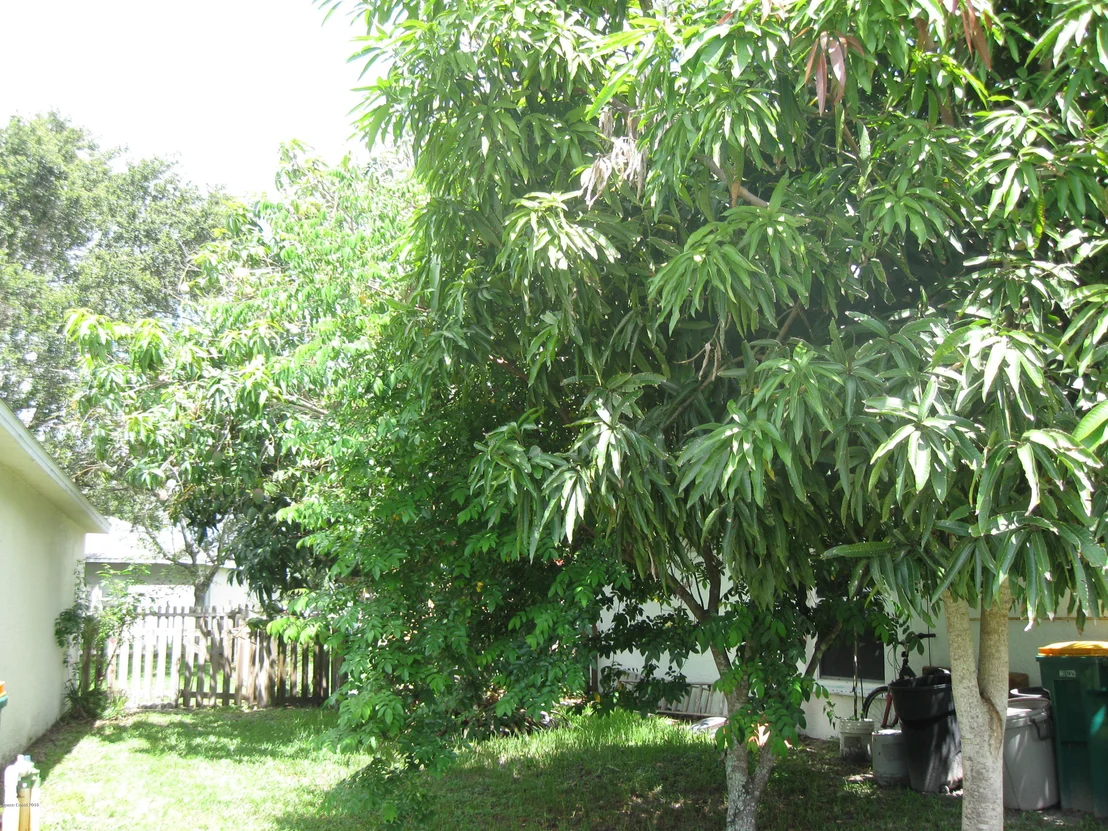 Photo of 3583 Egret Drive