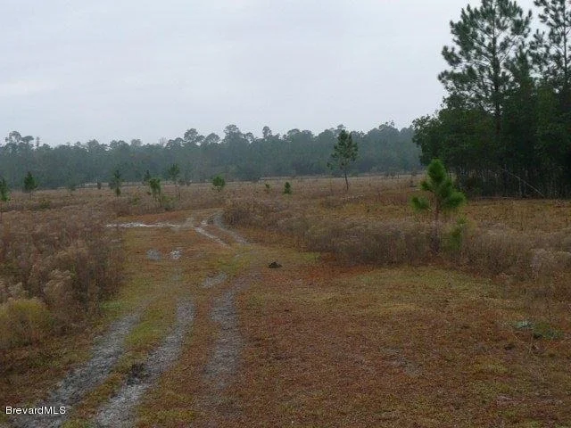 Photo of 780 Panther Path Way