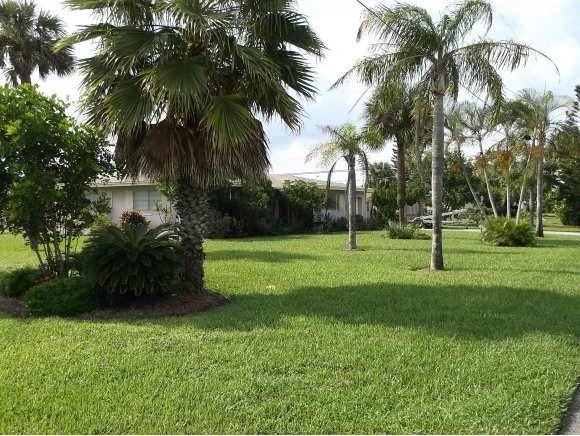 Photo of 1302 Orange