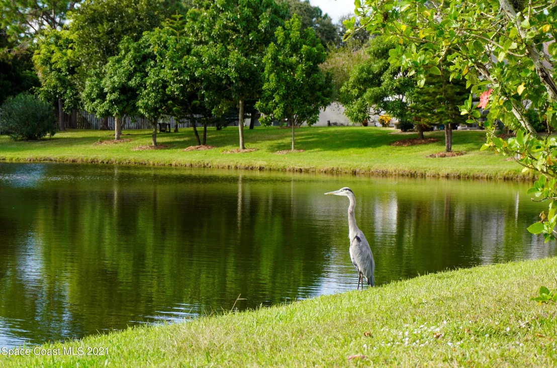 Photo of 8047 Bracken Lane
