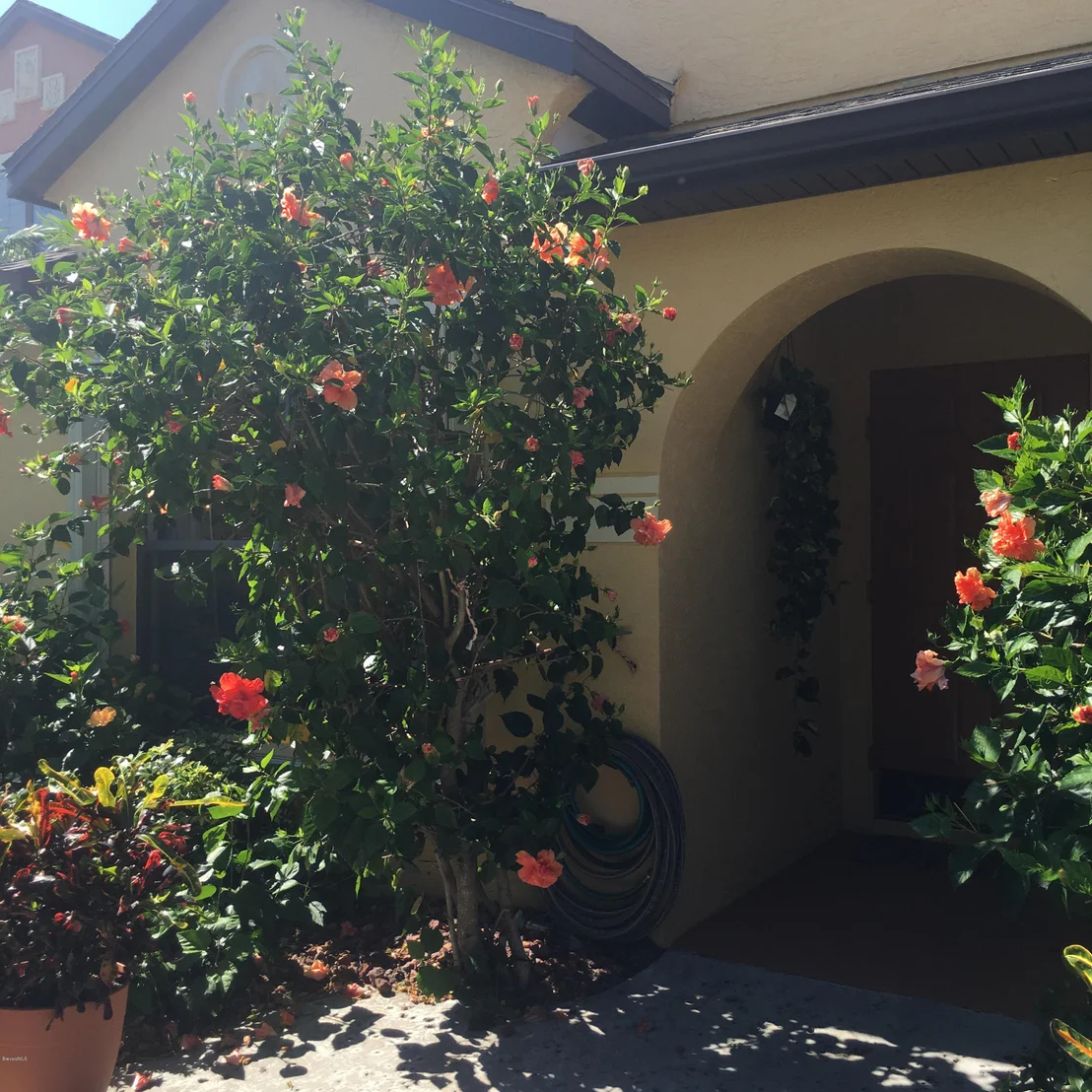 Photo of Unit 105 at 975 Luminary Circle