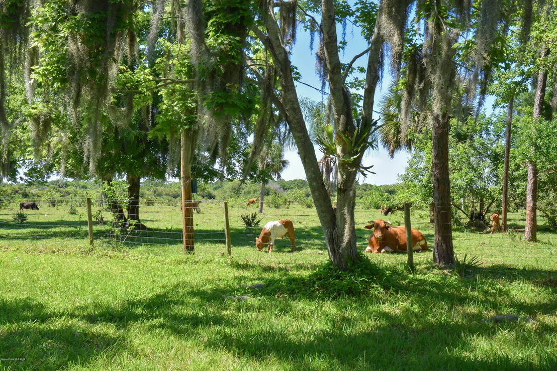 Photo of 395 Atz Road