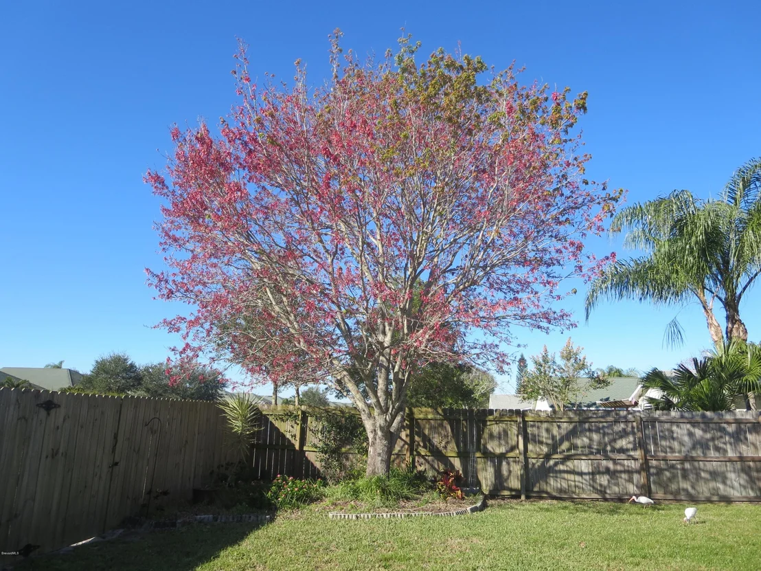 Photo of 3564 Egret Drive