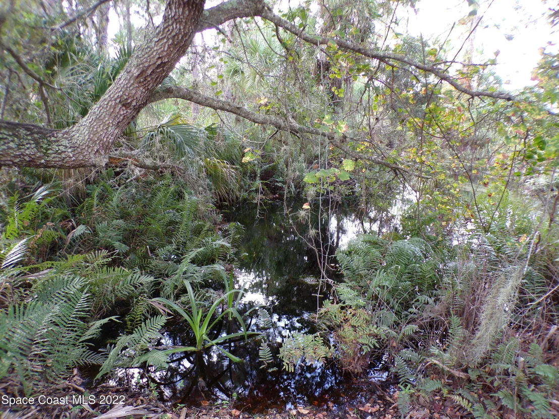 Photo of 4508 Hunters Run Circle