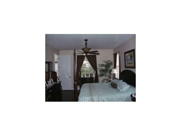 Photo of 1874 Ficus Point