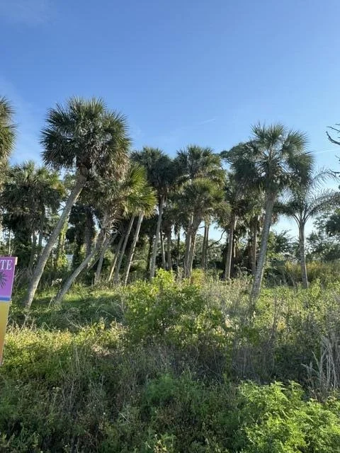 Photo of 2918 Pineapple Avenue