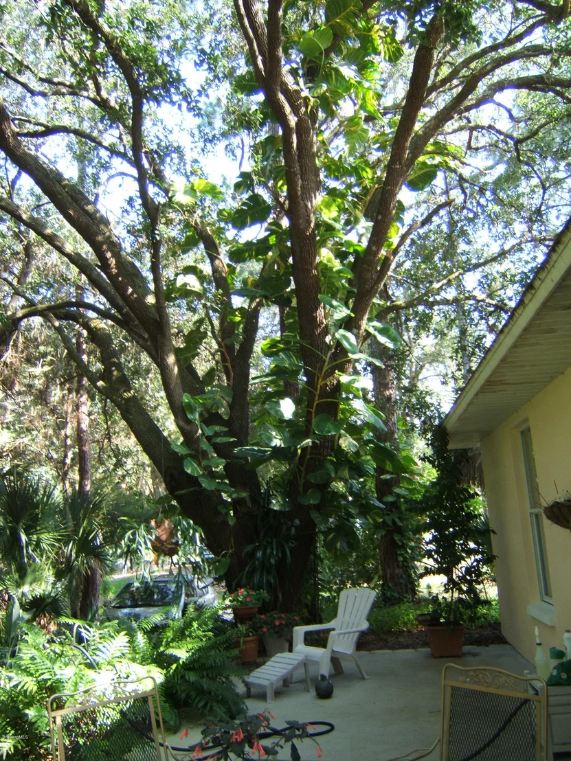 Photo of 7235 Carillon Avenue