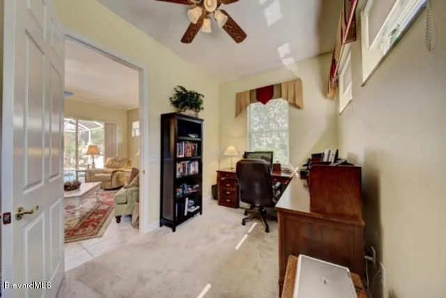 Photo of 1060 Palm Brook Drive