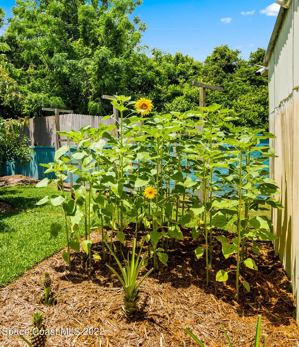 Photo of 1719 Shady Lane