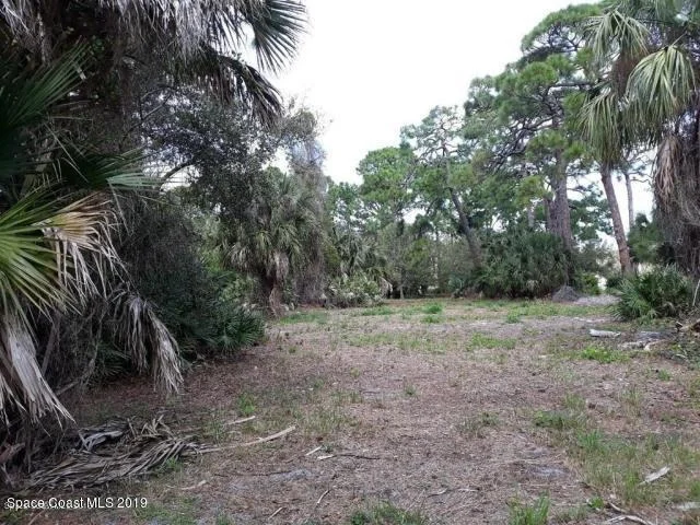 Photo of 3520 Reef Place