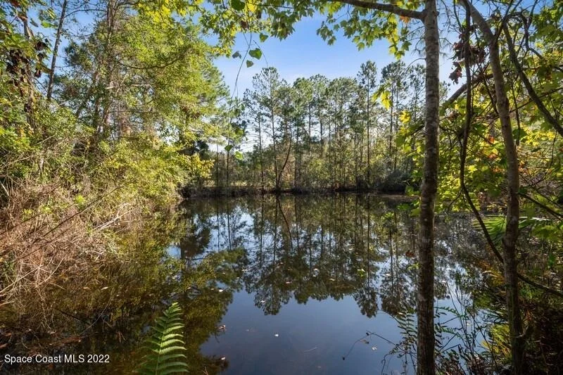 Photo of 3855 Aurantia Road