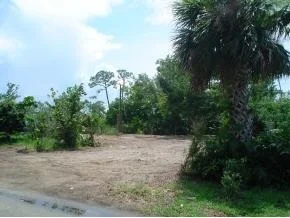 Photo of 6953 Dahlia Drive