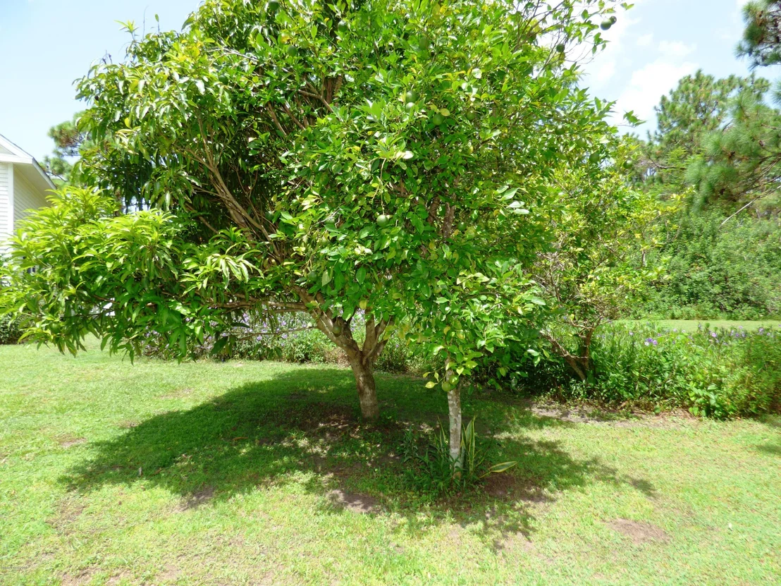 Photo of 3965 Miller Lane