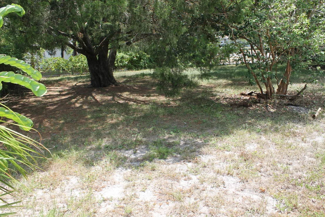 Photo of 997 MIRACLE Way