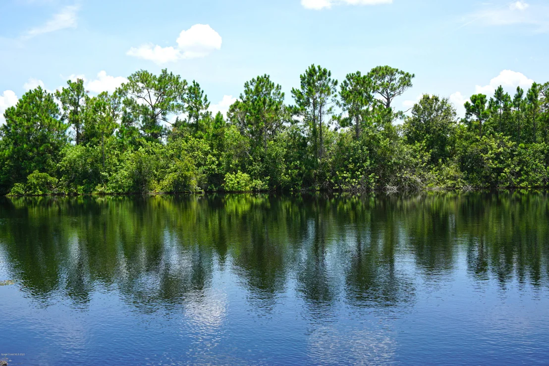 Photo of 4345 Ligustrum Drive