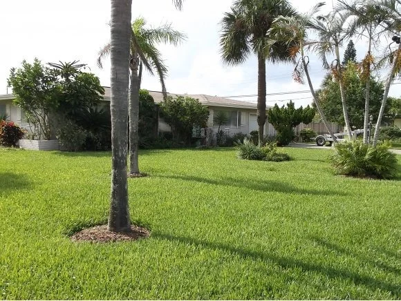 Photo of 1302 Orange