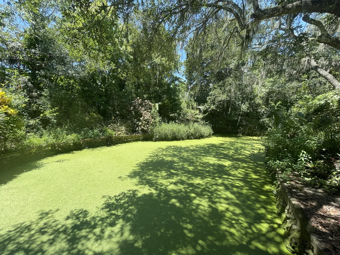 Photo of 4475 Bouganvilla Drive