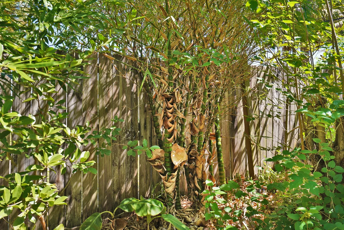 Photo of 1081 Madrid Road