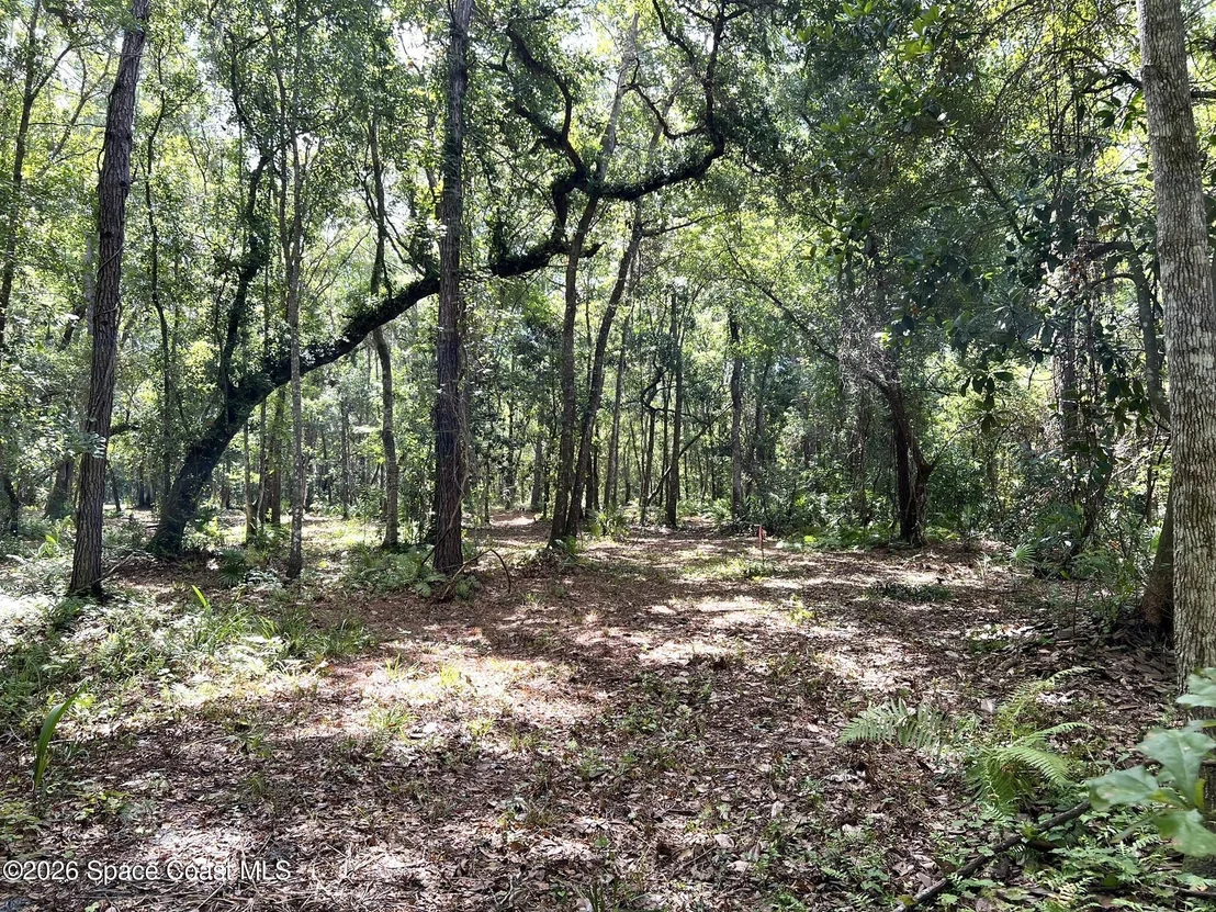 Photo of 1239,41,43 County Road 309